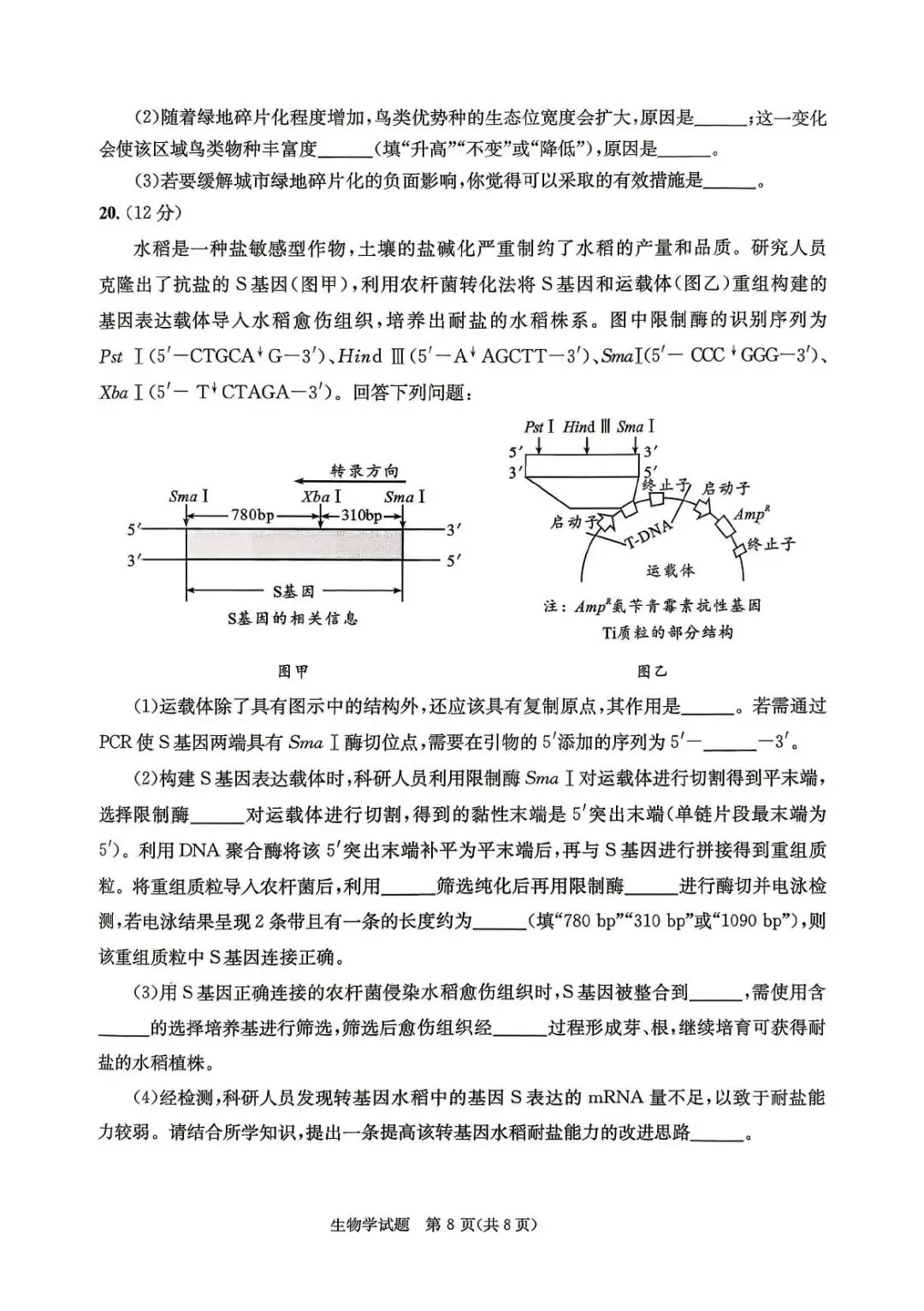 2026届成都三诊生物试卷答案新鲜出炉! 第8张 2026届成都三诊生物试卷答案新鲜出炉! 第8张
