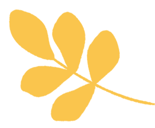 中考研讨聚合力,课题推广启新程-第18张图片-四季读书网