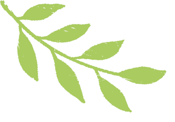 中考研讨聚合力,课题推广启新程-第35张图片-四季读书网