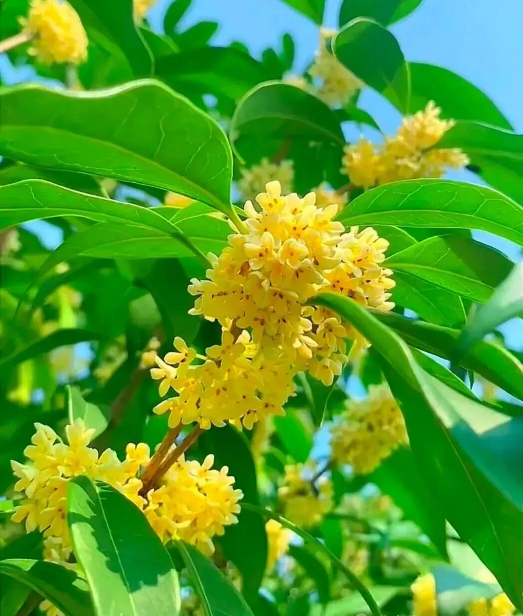 家长及考生朋友,你有中考焦虑吗?今天我来给你普及一下:中考数学答题时间分配技巧,助你稳拿高分 第2张 家长及考生朋友,你有中考焦虑吗?今天我来给你普及一下:中考数学答题时间分配技巧,助你稳拿高分 第2张