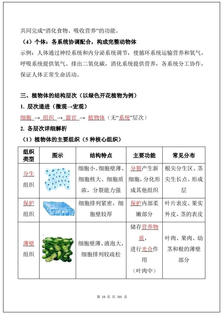 【中考生物】2026年生物会考必背考点汇总《108大考点全国通用》完整电子版可打印! 第18张