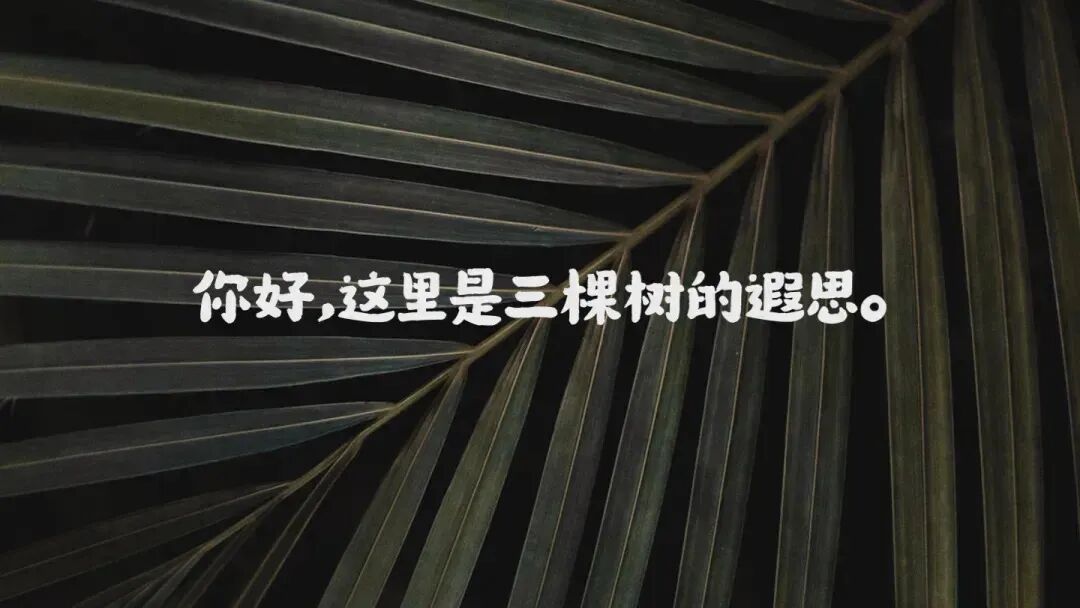 2026年4月21日 广州二模英语试卷 注释+长难句+客观题语料迁移-第1张图片-四季读书网
