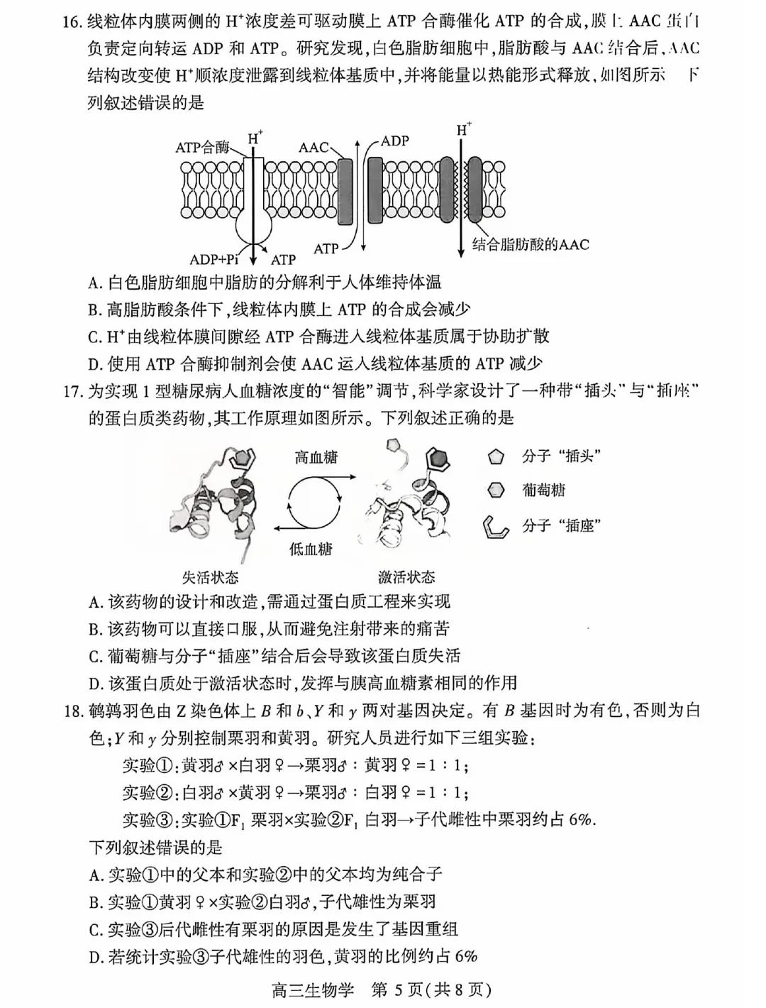 武汉市2026届高三4月份第三次模拟考试生物学试题及答案(附评分细则) 第7张 武汉市2026届高三4月份第三次模拟考试生物学试题及答案(附评分细则) 第7张