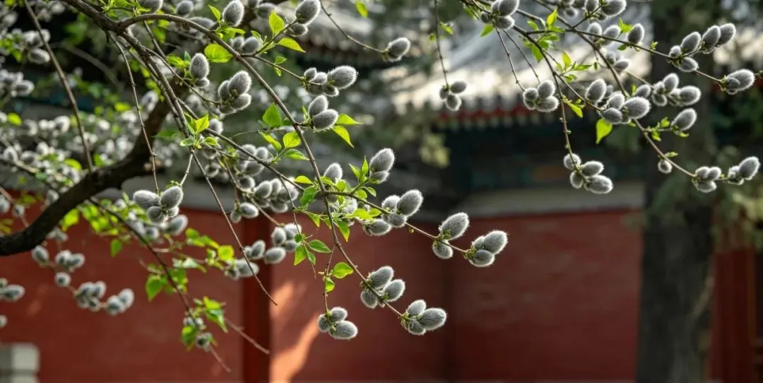 中考满分作文:好一场相遇(三) 第3张 中考满分作文:好一场相遇(三) 第3张