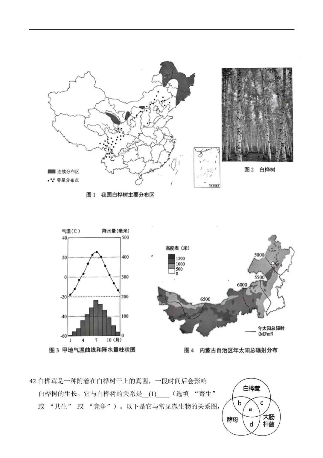 2026年上海中考跨学科案例分析模拟卷(5套附解析) 第11张 2026年上海中考跨学科案例分析模拟卷(5套附解析) 第11张