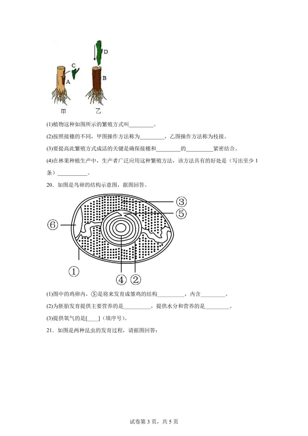 2026年定西市安定区中考二模生物试卷 第3张