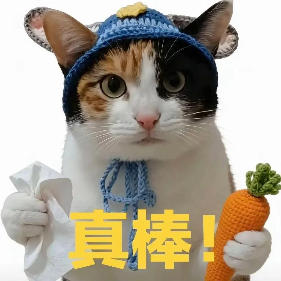 @中山初一初二家长!中山各校期中考真题+答案出炉! 第4张 @中山初一初二家长!中山各校期中考真题+答案出炉! 第4张