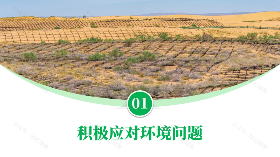 新教材 | 中考一轮复习·环境保护与发展(课件+导学单+练习题) 第30张 新教材 | 中考一轮复习·环境保护与发展(课件+导学单+练习题) 第30张
