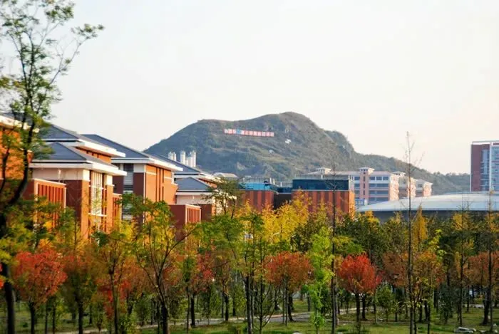 ▲西安工业大学学位英语报考机制、真题分析与考试资料课程资源为中心 —— 地方高校成人学位英语备考的多维优化路径维度 第3张 ▲西安工业大学学位英语报考机制、真题分析与考试资料课程资源为中心 —— 地方高校成人学位英语备考的多维优化路径维度 第3张