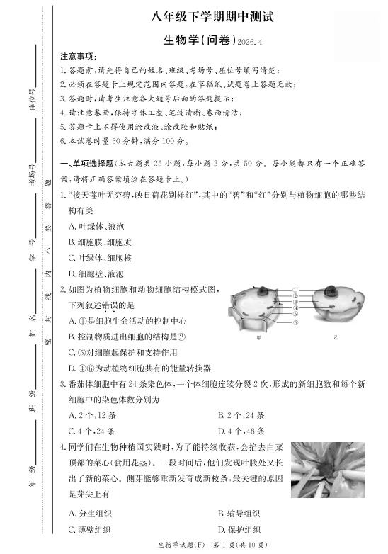 速看!26年长沙各集团初二期中真题试卷+答案(附已出初二期中优秀线) 第22张 速看!26年长沙各集团初二期中真题试卷+答案(附已出初二期中优秀线) 第22张