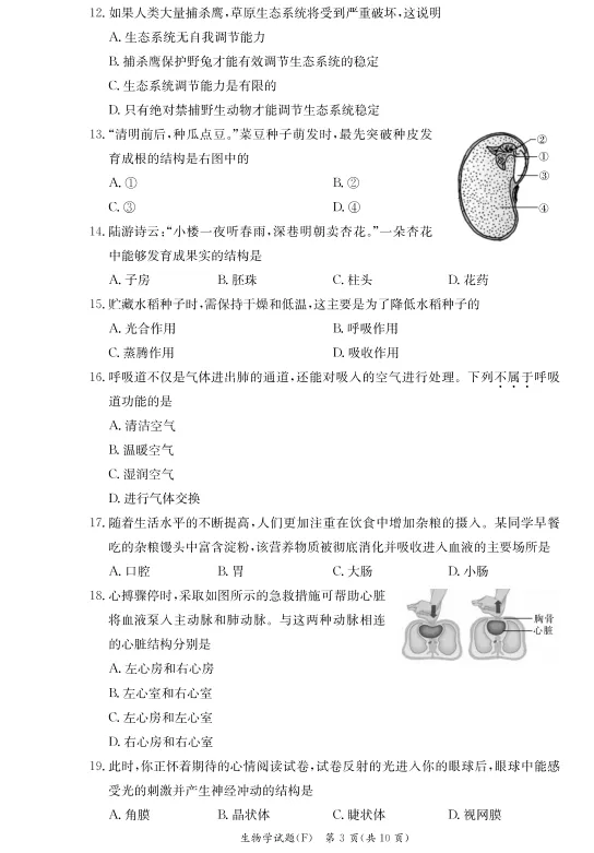 速看!26年长沙各集团初二期中真题试卷+答案(附已出初二期中优秀线) 第24张 速看!26年长沙各集团初二期中真题试卷+答案(附已出初二期中优秀线) 第24张