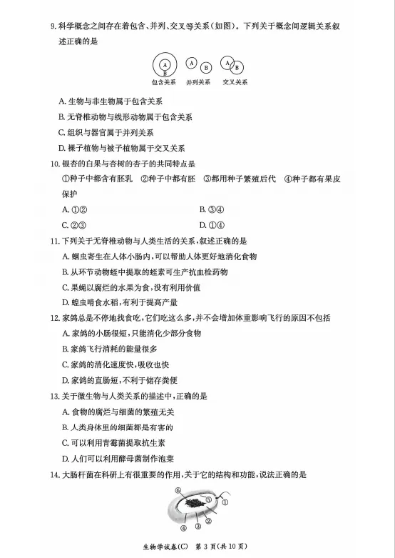 速看!26年长沙各集团初二期中真题试卷+答案(附已出初二期中优秀线) 第59张 速看!26年长沙各集团初二期中真题试卷+答案(附已出初二期中优秀线) 第59张
