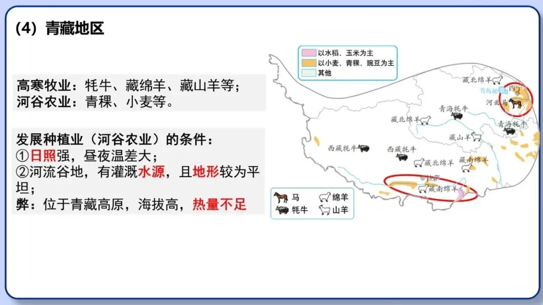 2026年中考地理二轮复习专题三 区域人文地理要素分析(课件+教学设计+导学案+课后习题) 第15张