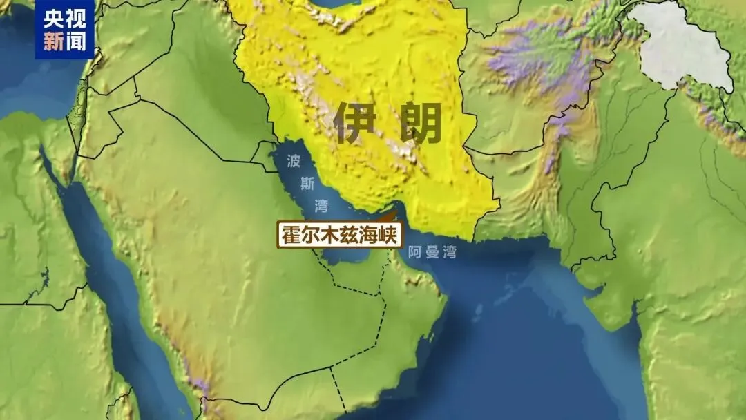 “长江日报求学通”上线,中考志愿不会填就问TA 第10张