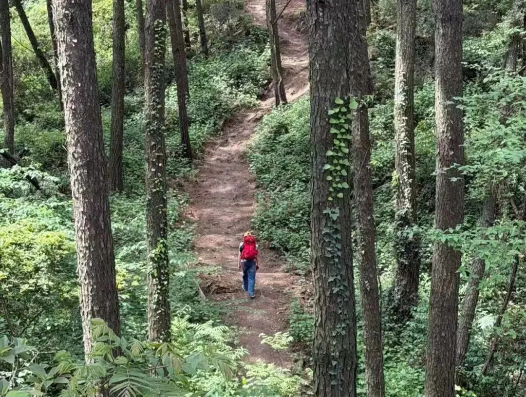 中考在即,允许孩子按自己的方式成长 第2张 中考在即,允许孩子按自己的方式成长 第2张