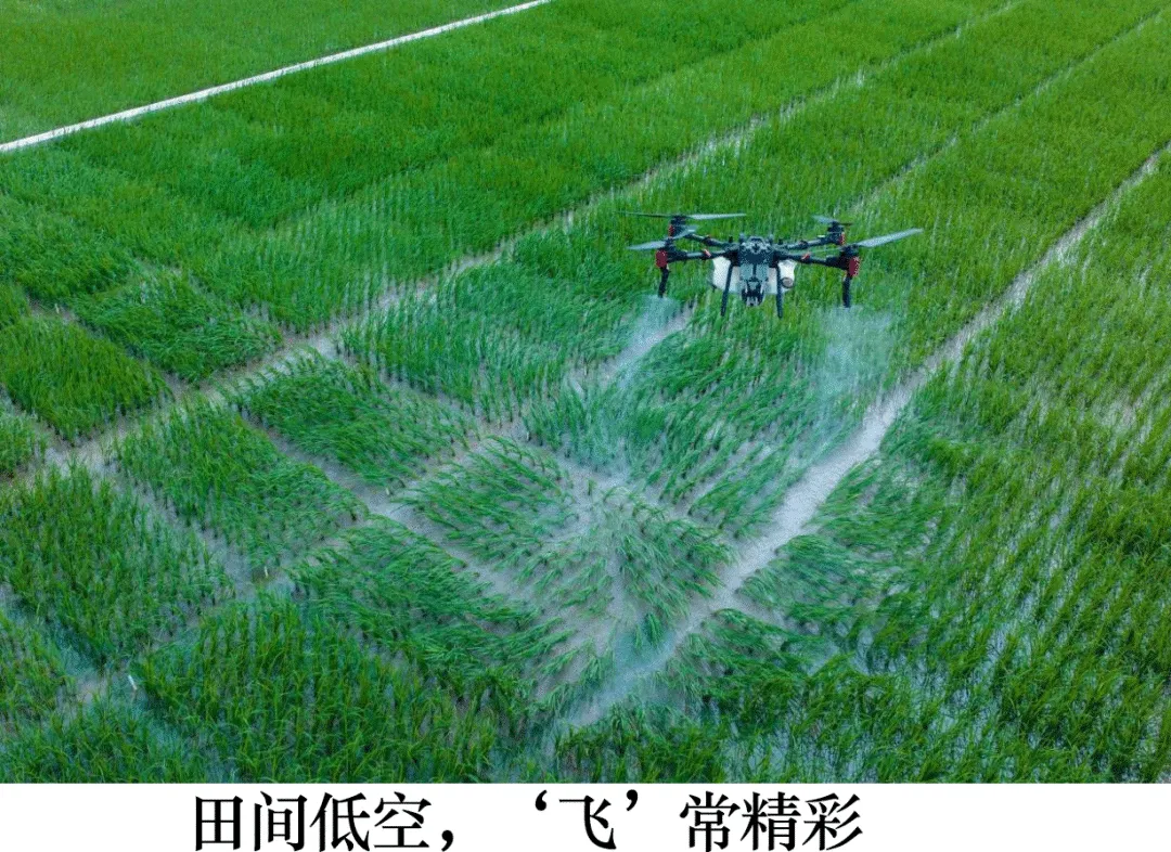 2026年中考历史主观题强化训练60题(9)学生版 第16张 2026年中考历史主观题强化训练60题(9)学生版 第16张