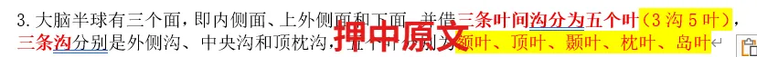 【最全】26年放射医学中级(376)真题回忆! 第15张 【最全】26年放射医学中级(376)真题回忆! 第15张