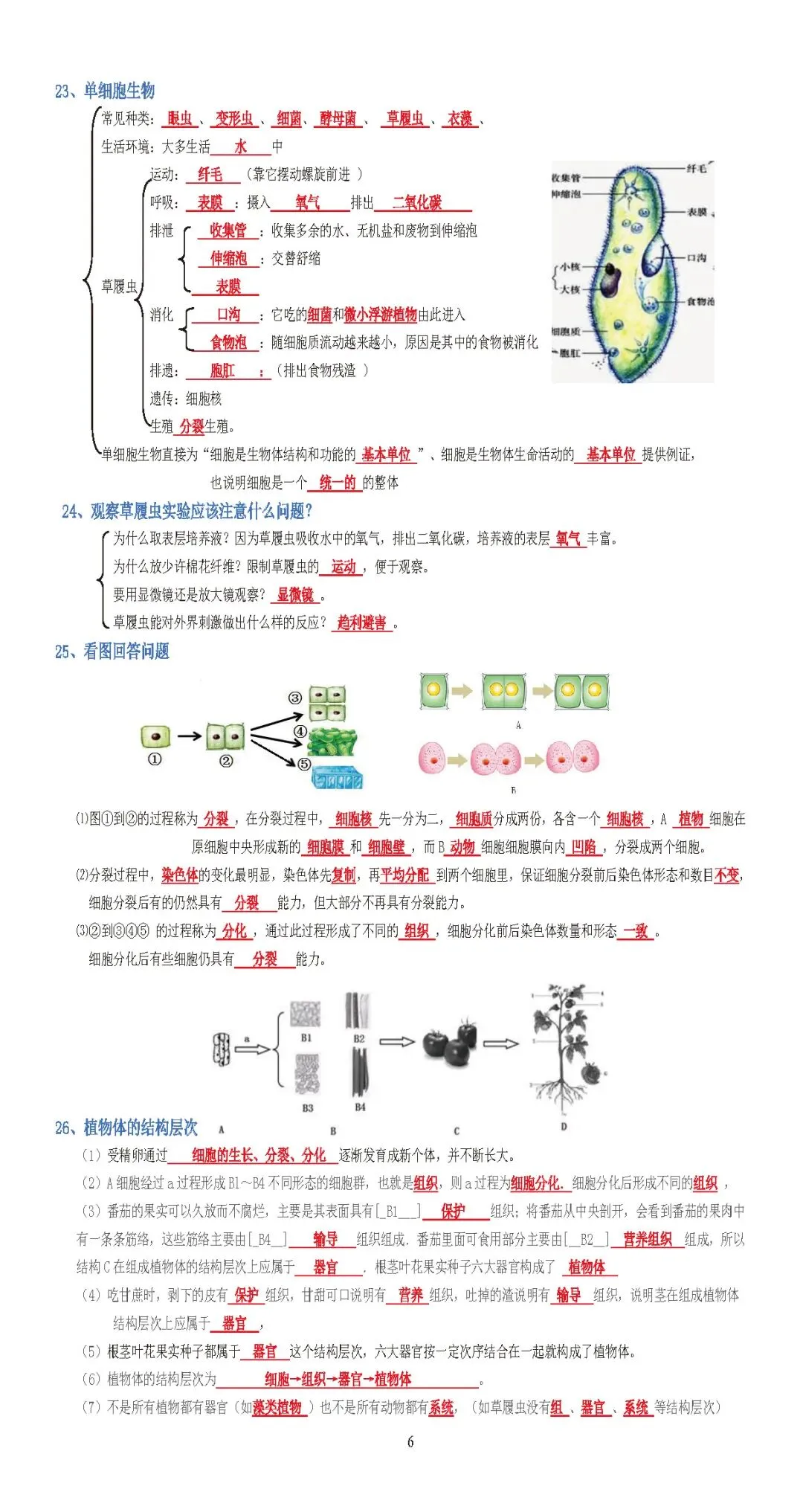 蛟川书院中考生物背诵 第6张