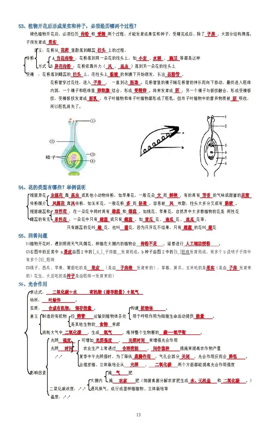 蛟川书院中考生物背诵 第13张