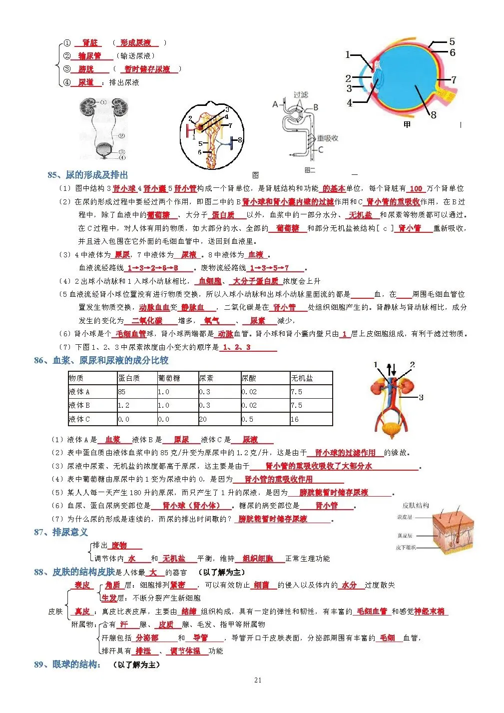 蛟川书院中考生物背诵 第21张