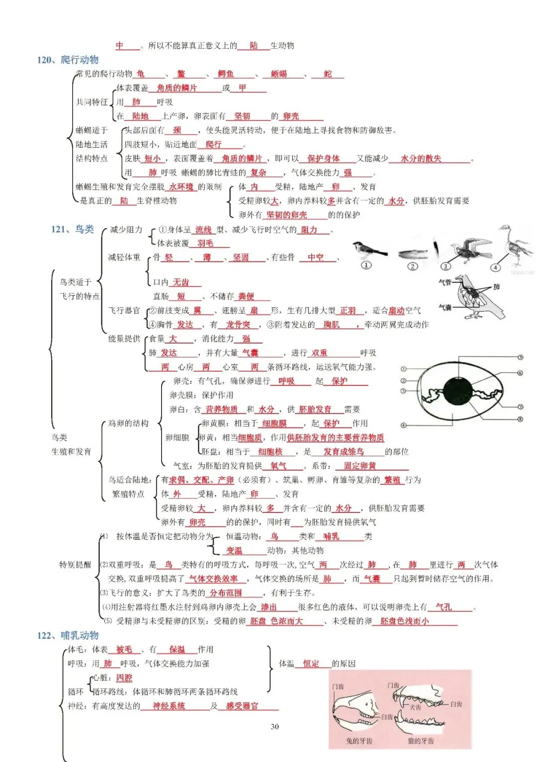 蛟川书院中考生物背诵 第30张