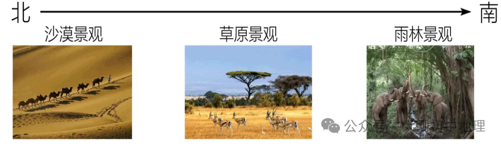 中考专训:七年级下册易错选择60题 第9张 中考专训:七年级下册易错选择60题 第9张