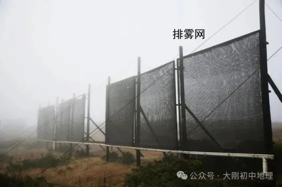 中考专训:七年级下册易错选择60题 第16张 中考专训:七年级下册易错选择60题 第16张