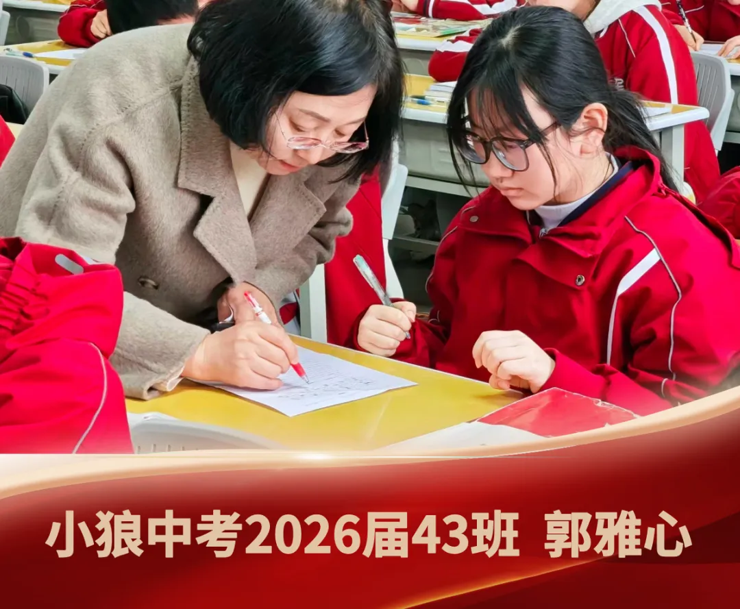 中考作文高分开头怎么写? 教你三个万能模板(附小狼优秀学生范文) 第7张
