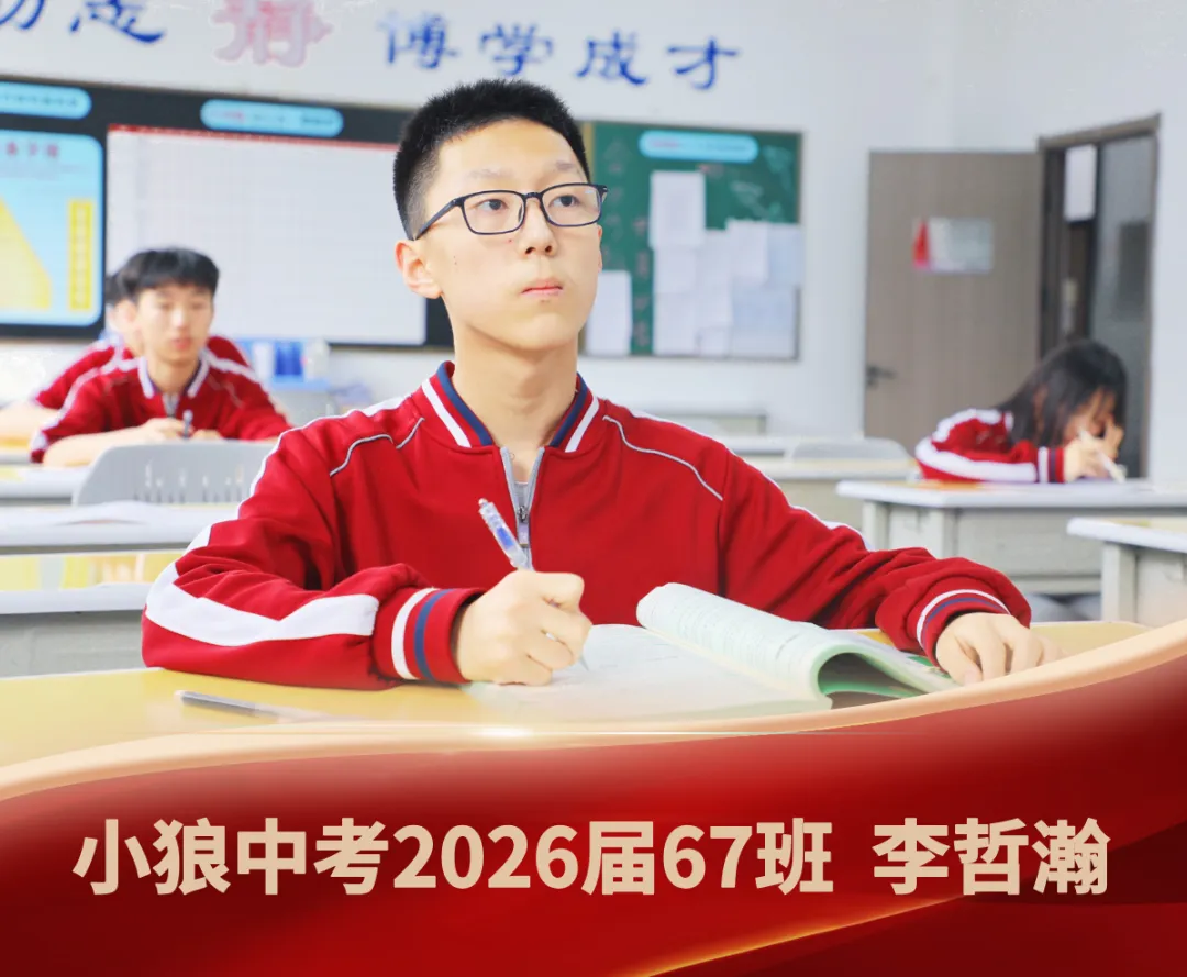 中考作文高分开头怎么写? 教你三个万能模板(附小狼优秀学生范文) 第8张
