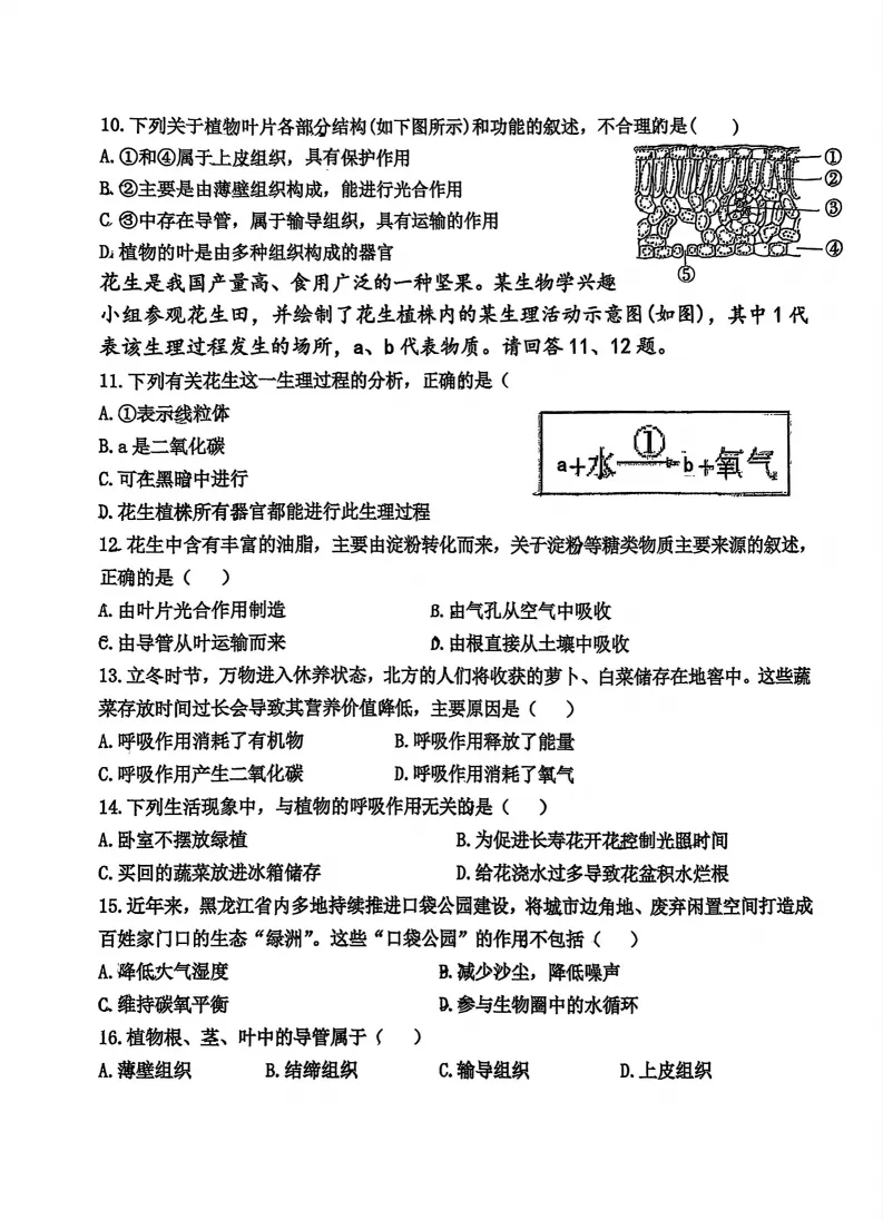 2026工附中学七年级下生物期中考试 试卷+答案 第3张