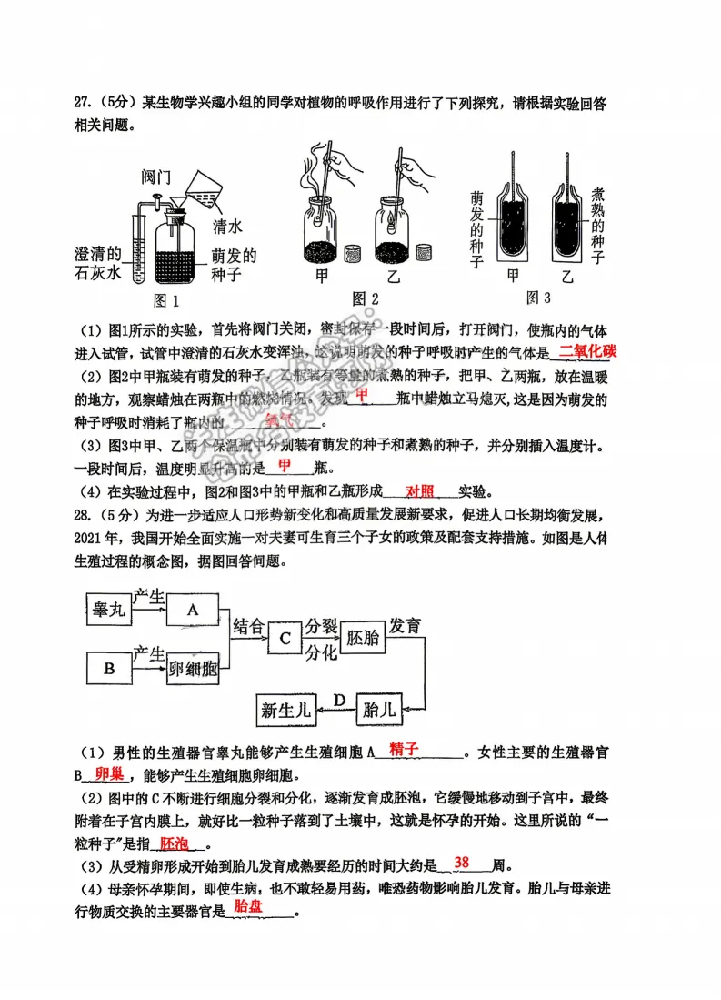 2026工附中学七年级下生物期中考试 试卷+答案 第12张