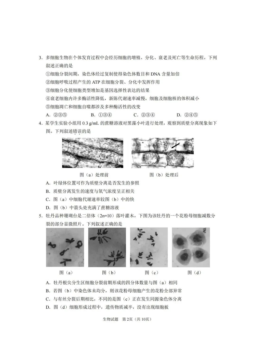 五一假期别浪费!6套试卷带你飞 第14张