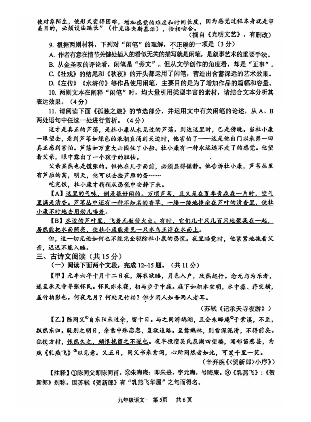 2026年安阳市中考一模(语文)试卷及答案 第5张