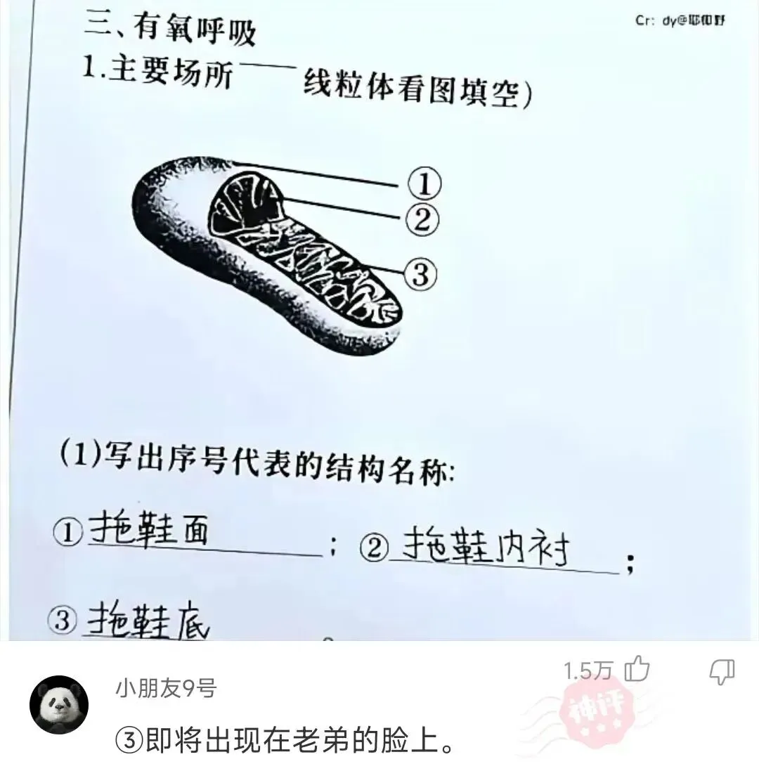 神回复: 我老弟的试卷看了真没绷住,网友:啥也别说了,先打吧 第1张