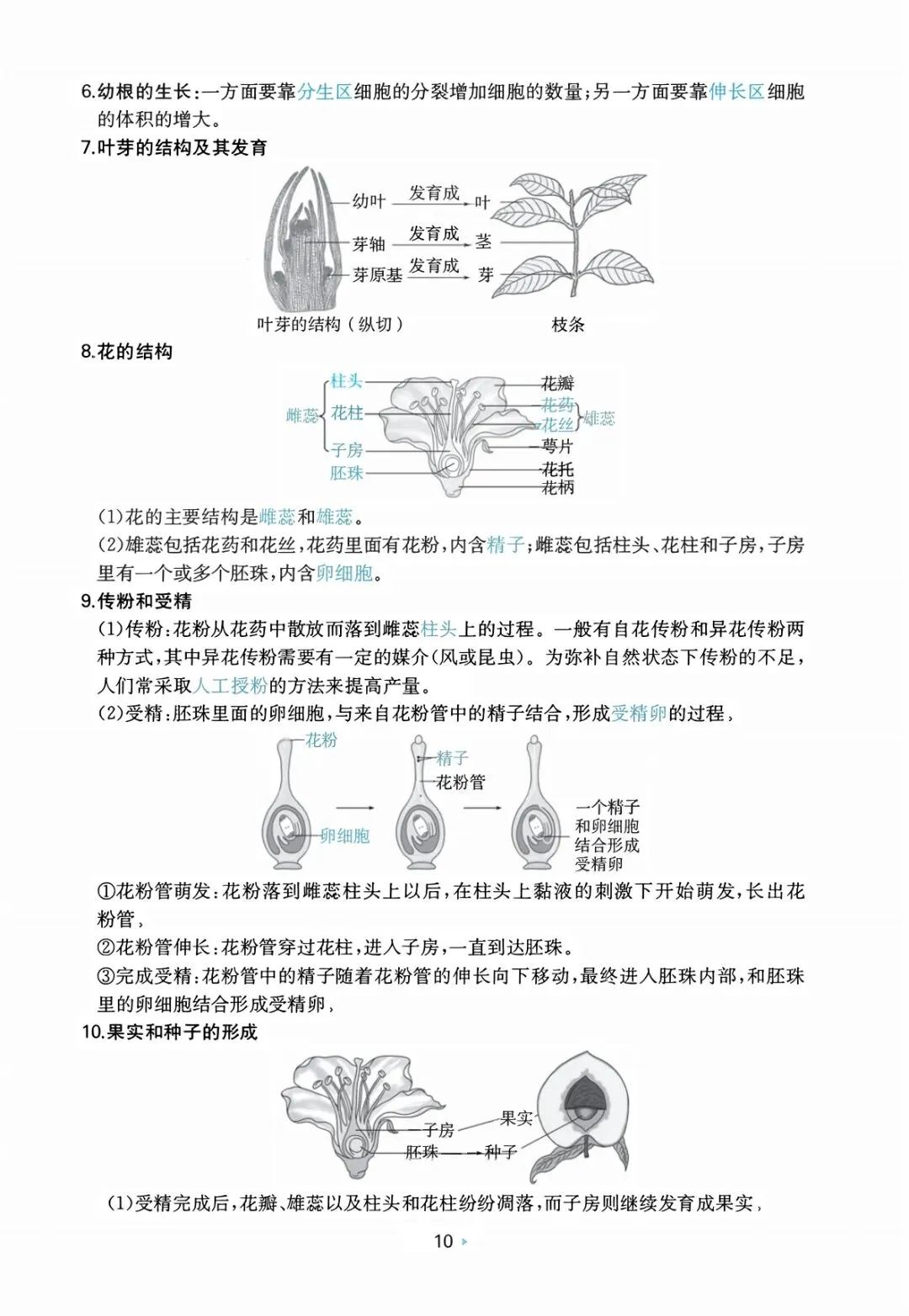 中考生物复习 | 考前重要知识点总结 第9张