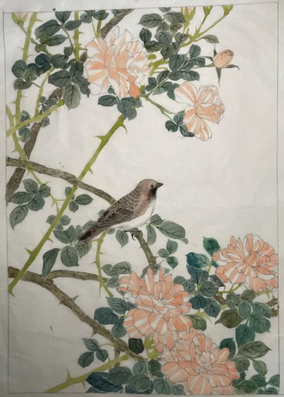 工笔带画 | 湖南师范大学真题工笔花鸟带画免费分享~ 第9张