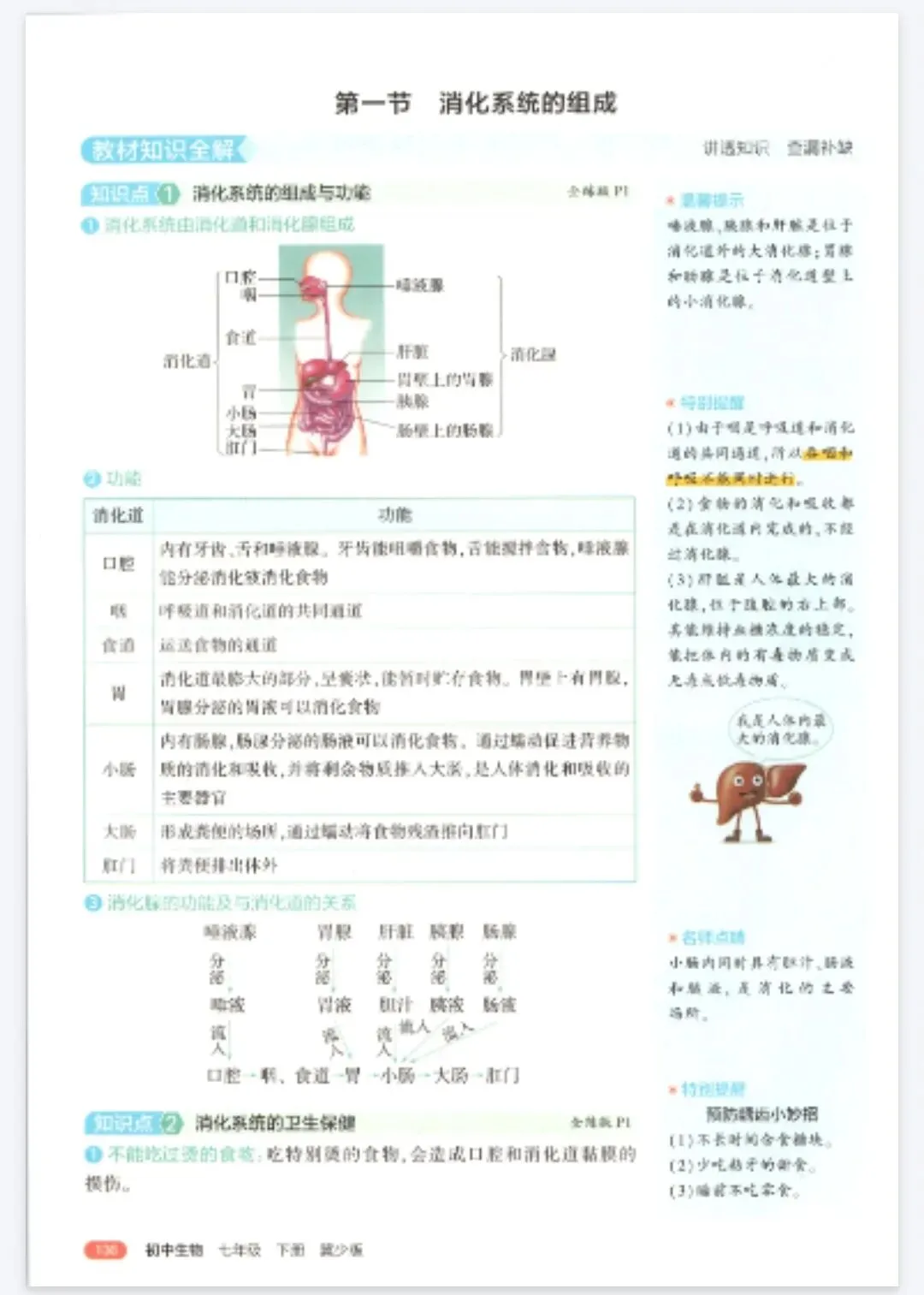 《5年中考3年模拟》初中同步全解版-冀少版生物7年级下册丨pdf电子版,可下载打印 第2张 《5年中考3年模拟》初中同步全解版-冀少版生物7年级下册丨pdf电子版,可下载打印 第2张