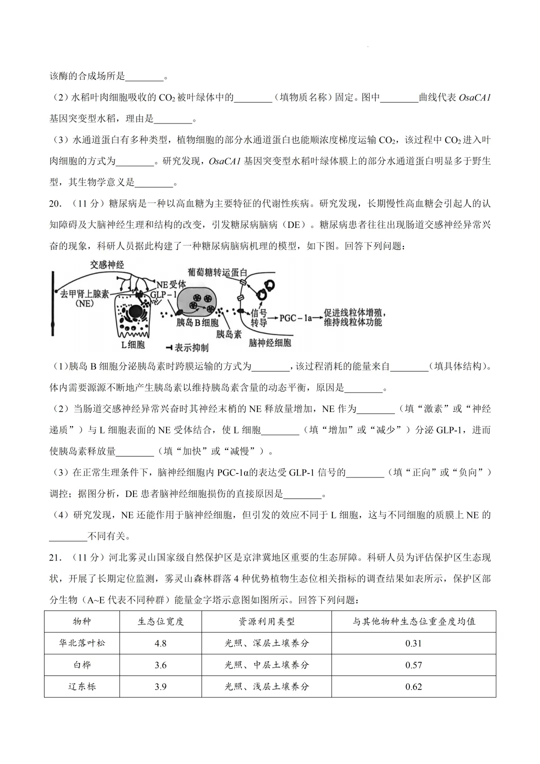 2026届河北省保定市高三下学期第二次模拟考试生物试卷及答案 第10张 2026届河北省保定市高三下学期第二次模拟考试生物试卷及答案 第10张