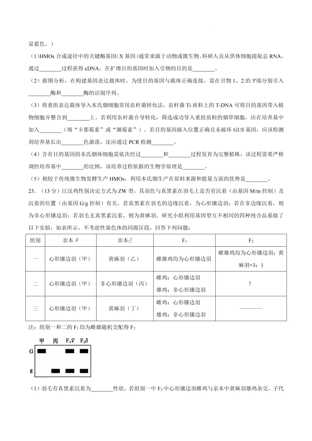 2026届河北省保定市高三下学期第二次模拟考试生物试卷及答案 第12张 2026届河北省保定市高三下学期第二次模拟考试生物试卷及答案 第12张