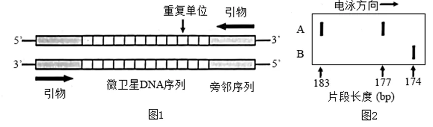 2025年北京高考生物试卷、答案和官方解析 第12张 2025年北京高考生物试卷、答案和官方解析 第12张