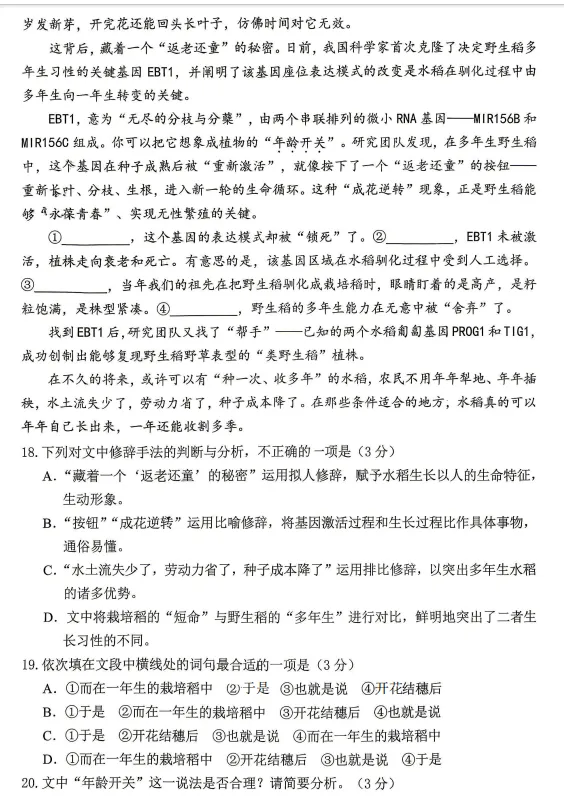 泰山教育联盟2026届高三考试模拟语文+官方答案 第10张