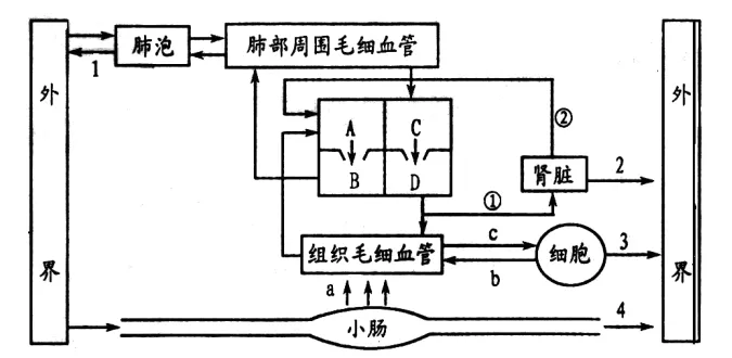 中考科学(浙江)二轮复习冲刺练(10)——人体各系统协调工作 第7张 中考科学(浙江)二轮复习冲刺练(10)——人体各系统协调工作 第7张