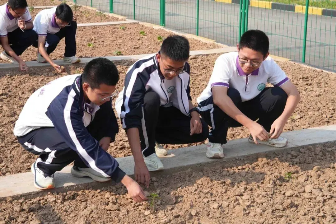 致中考少年・五十天逐梦 | 衡水滏阳中学邀你同行 第141张 致中考少年・五十天逐梦 | 衡水滏阳中学邀你同行 第141张