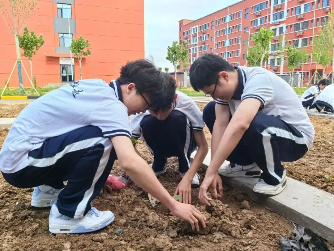 致中考少年・五十天逐梦 | 衡水滏阳中学邀你同行 第151张 致中考少年・五十天逐梦 | 衡水滏阳中学邀你同行 第151张
