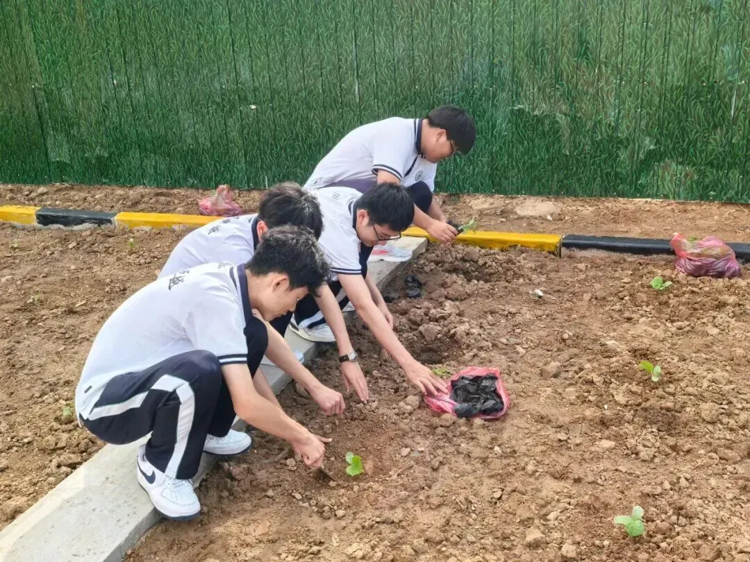 致中考少年・五十天逐梦 | 衡水滏阳中学邀你同行 第154张 致中考少年・五十天逐梦 | 衡水滏阳中学邀你同行 第154张