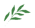 中考物理必看|笑春老师总结,浮力全考点梳理,公式+题型+解题方法一次吃透! 第21张 中考物理必看|笑春老师总结,浮力全考点梳理,公式+题型+解题方法一次吃透! 第21张