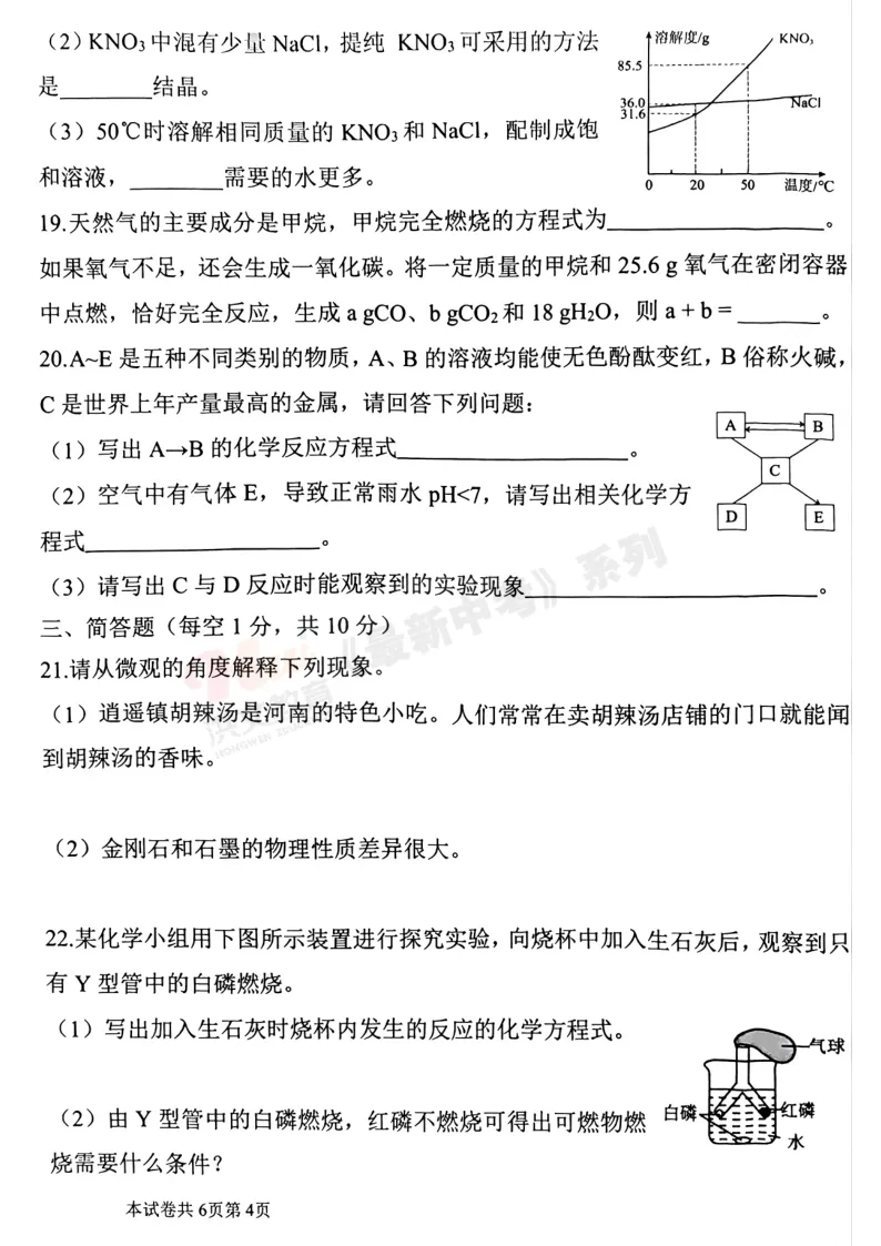 [二模]2026年洛河师大二模试卷(7科全)试卷及参考答案 第49张