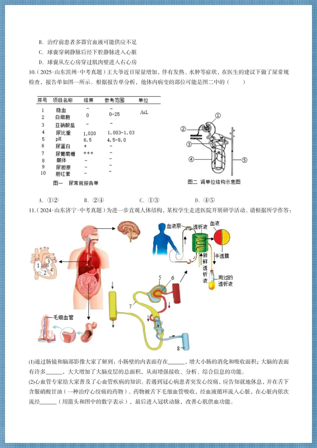 生地会考|2026春《生物会考》会考试卷+历年真题卷+二轮高频真题+押题猜想,电子版可打印! 第17张