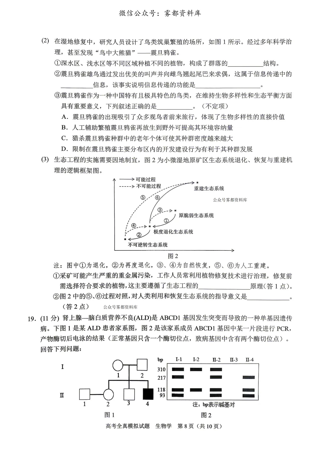 西南大学附中高2026届高三5月高考全真模拟考试生物试题 第11张