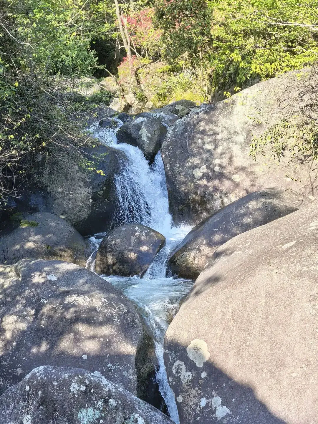 中考倒计时50天,我连夜从北京赶回,带儿子上了一趟长沙最高峰大围山 第8张 中考倒计时50天,我连夜从北京赶回,带儿子上了一趟长沙最高峰大围山 第8张